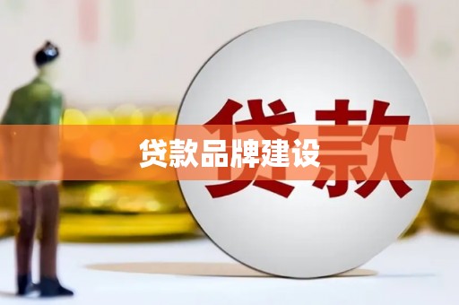 盘龙贷款品牌建设