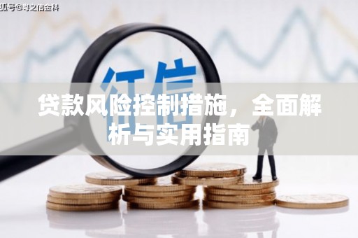 盘龙贷款风险控制措施，全面解析与实用指南