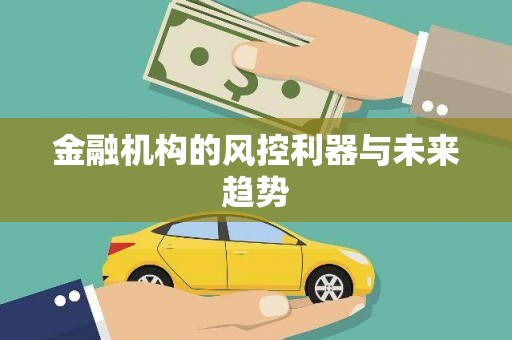 盘龙金融机构的风控利器与未来趋势