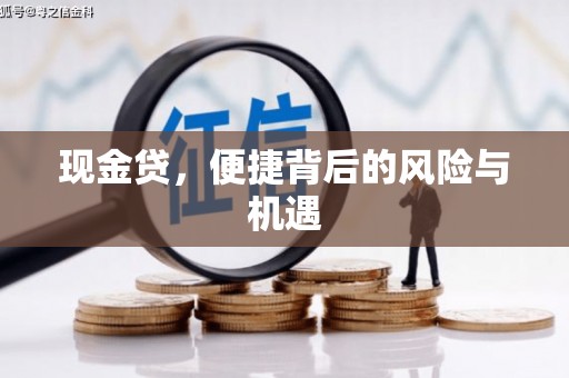 盘龙现金贷，便捷背后的风险与机遇