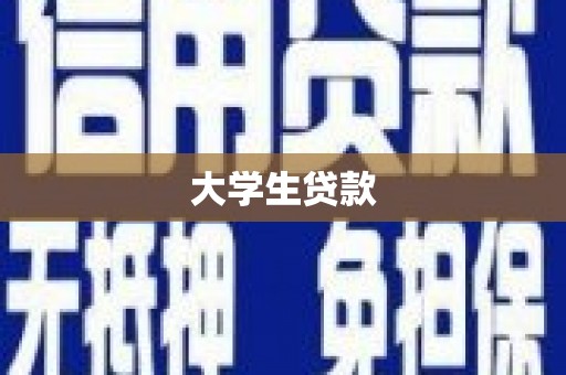盘龙大学生贷款