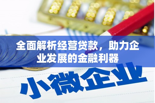 盘龙全面解析经营贷款，助力企业发展的金融利器