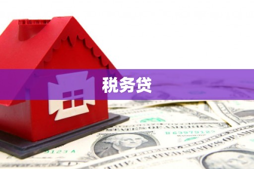 盘龙税务贷