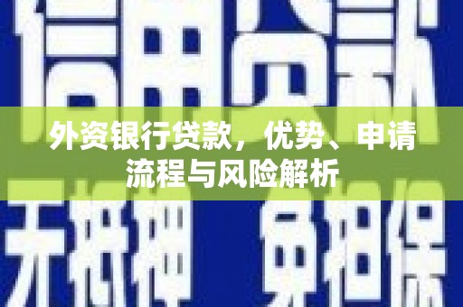 盘龙外资银行贷款，优势、申请流程与风险解析