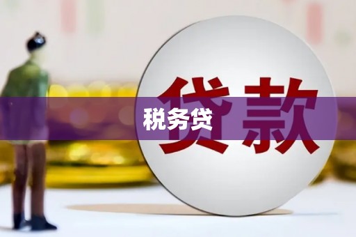 盘龙税务贷