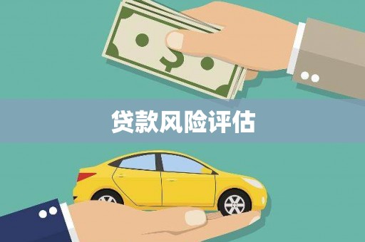 盘龙贷款风险评估
