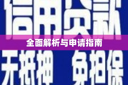 盘龙全面解析与申请指南