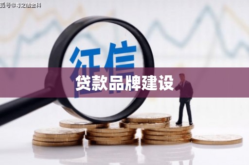 盘龙贷款品牌建设