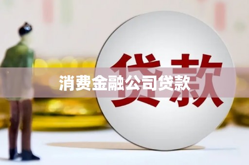 盘龙消费金融公司贷款