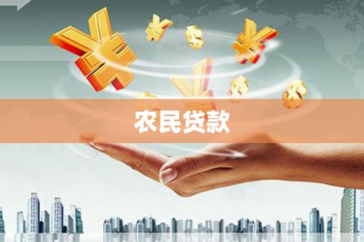 盘龙农民贷款