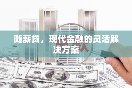 盘龙随薪贷，现代金融的灵活解决方案