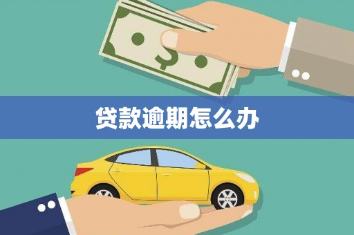 盘龙贷款逾期怎么办