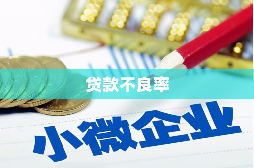 盘龙贷款不良率