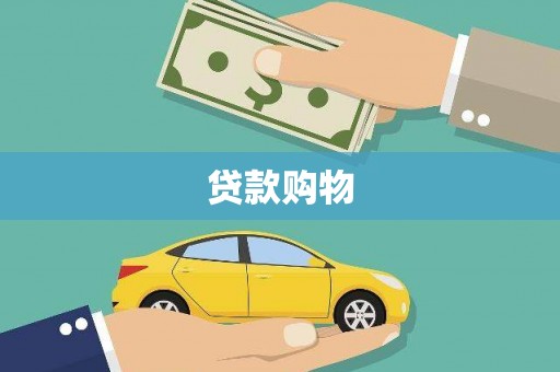 盘龙贷款购物