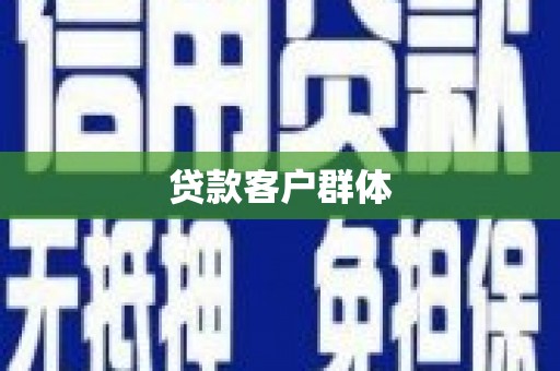 盘龙贷款客户群体