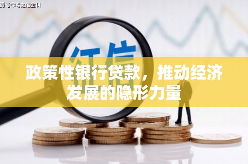 盘龙政策性银行贷款，推动经济发展的隐形力量