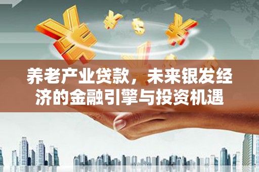 盘龙养老产业贷款，未来银发经济的金融引擎与投资机遇