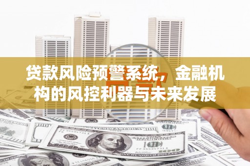 盘龙贷款风险预警系统，金融机构的风控利器与未来发展