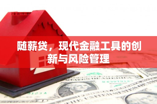 盘龙随薪贷，现代金融工具的创新与风险管理
