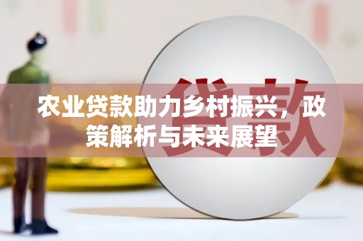 盘龙农业贷款助力乡村振兴，政策解析与未来展望