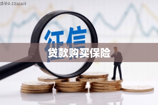 盘龙贷款购买保险
