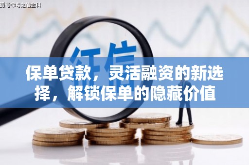 盘龙保单贷款，灵活融资的新选择，解锁保单的隐藏价值