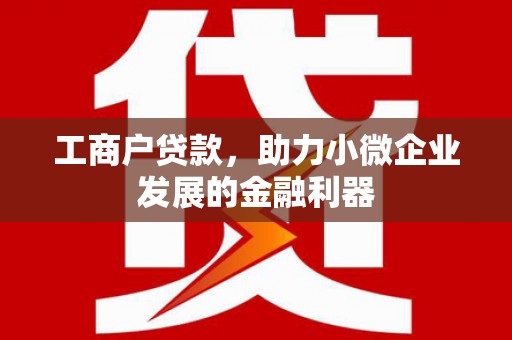 盘龙工商户贷款，助力小微企业发展的金融利器
