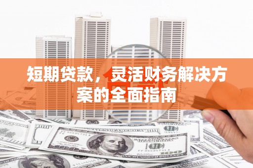 盘龙短期贷款，灵活财务解决方案的全面指南