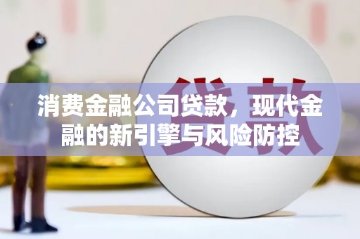 盘龙消费金融公司贷款，现代金融的新引擎与风险防控