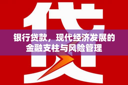 盘龙银行贷款，现代经济发展的金融支柱与风险管理