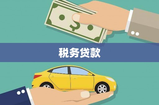 盘龙税务贷款