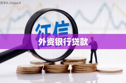 盘龙外资银行贷款