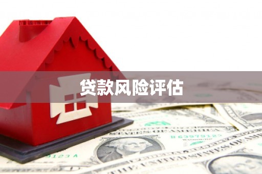 盘龙贷款风险评估