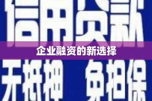 盘龙企业融资的新选择