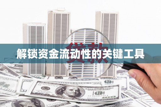 盘龙解锁资金流动性的关键工具