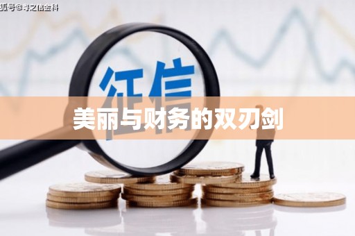 盘龙美丽与财务的双刃剑