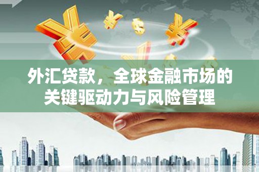 盘龙外汇贷款，全球金融市场的关键驱动力与风险管理