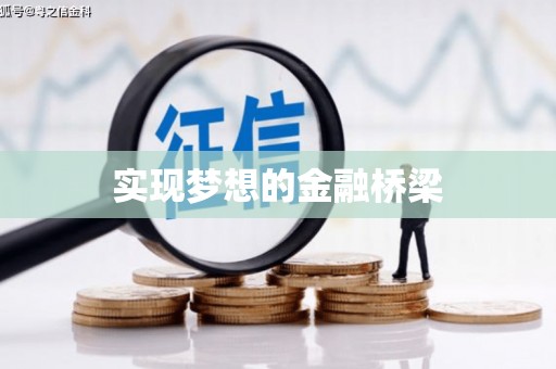 盘龙实现梦想的金融桥梁