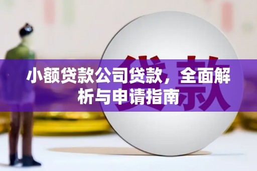 盘龙小额贷款公司贷款，全面解析与申请指南