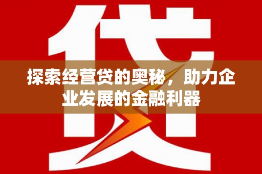 盘龙探索经营贷的奥秘，助力企业发展的金融利器