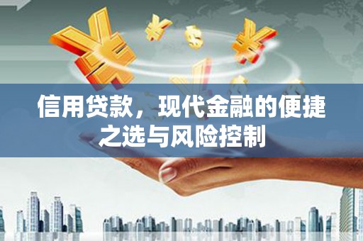 盘龙信用贷款，现代金融的便捷之选与风险控制