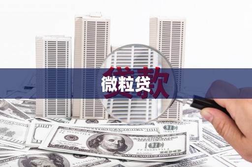 盘龙微粒贷