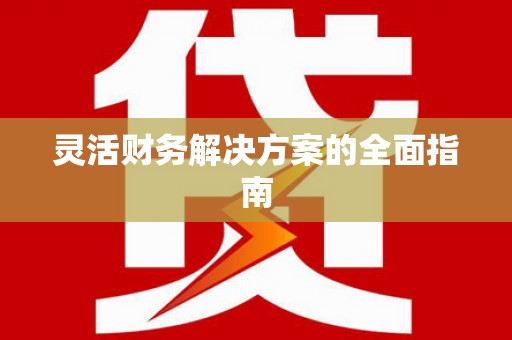 盘龙灵活财务解决方案的全面指南