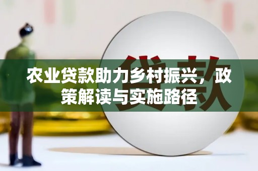 盘龙农业贷款助力乡村振兴，政策解读与实施路径