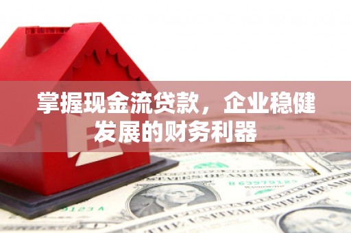 盘龙掌握现金流贷款，企业稳健发展的财务利器