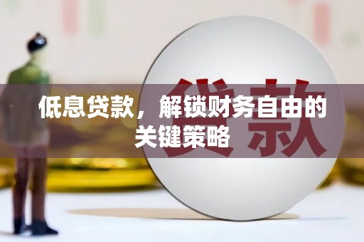 盘龙低息贷款，解锁财务自由的关键策略