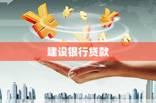盘龙建设银行贷款