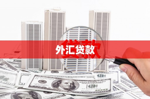 盘龙外汇贷款