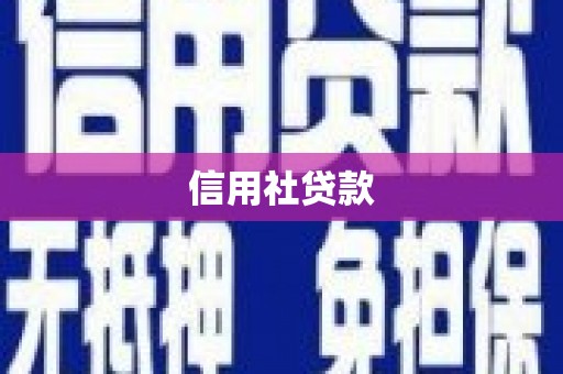 盘龙信用社贷款