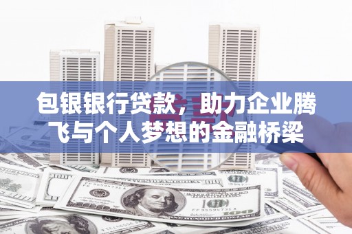 盘龙包银银行贷款，助力企业腾飞与个人梦想的金融桥梁
